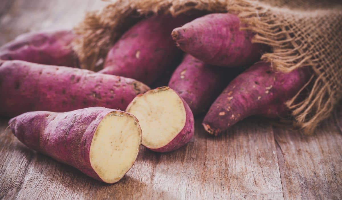 ARE SWEET POTATOES ON THE PALEO DIET