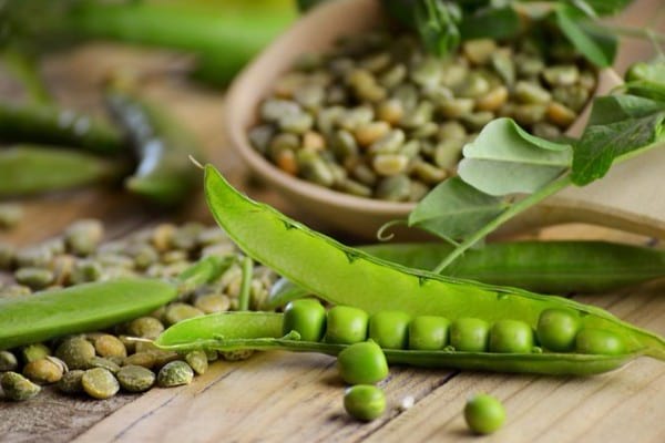 Are Peas on the Paleo Diet? Discover The Surprising Truth!