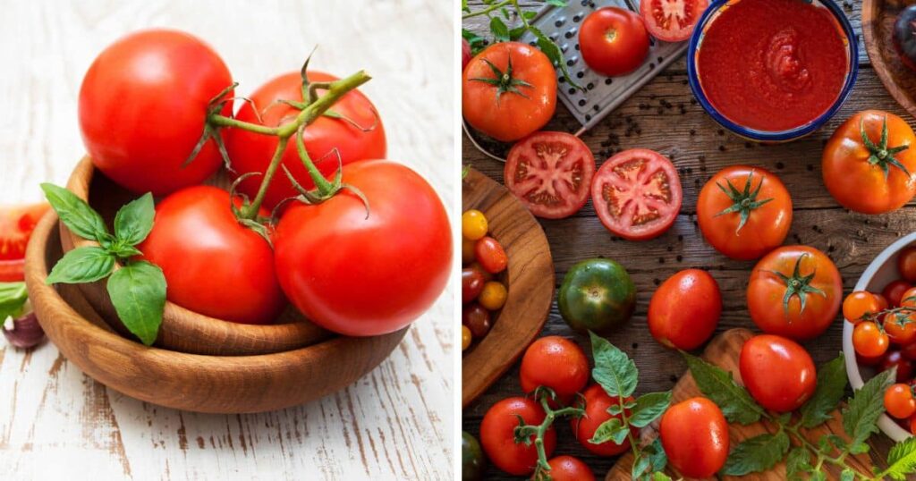 ARE TOMATOES ON THE PALEO DIET